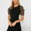 Black Tulle Sleeve Darby Dress